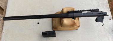 IMG_6018.jpeg