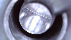 IMG_3026.jpeg