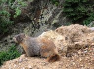 IMG_4685.jpeg