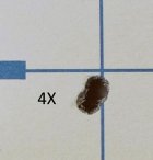 Best 4X group 6 br post Wilson.jpg