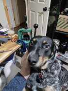 20250111_204253.jpg
