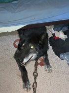IMG_1569.jpg