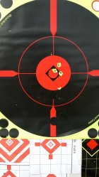 IMG_20250208_101835078.jpg