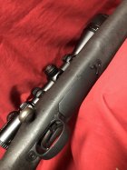 IMG_2310.jpeg