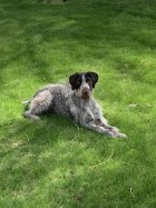 IMG_7498.jpeg