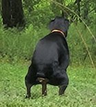 20240504_105127.jpg