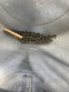 IMG_0339.jpeg