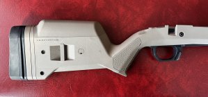 IMG_8308.jpeg