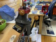 IMG_1213.jpeg
