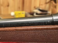 IMG_0543.JPEG