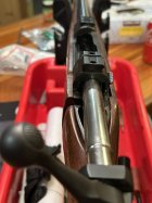 IMG_0546.JPEG