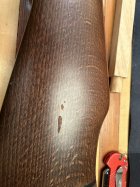 IMG_0521.JPEG