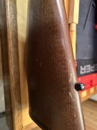IMG_0522.JPEG