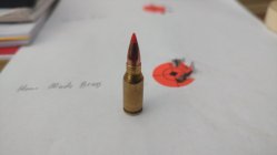 IMG_20250129_144849788.jpg