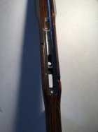 IMG_0180.jpeg