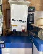 IMG_2004.jpeg