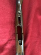 IMG_9893.jpeg
