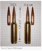 7-Sherman-Short.jpg