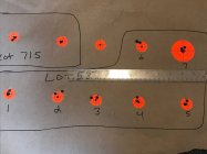 IMG_0100.jpeg