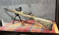 IMG_2375.jpeg