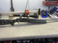 IMG_2162.jpeg