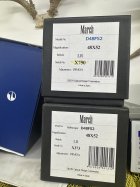 IMG_2165.jpeg