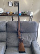 IMG_0130.jpeg