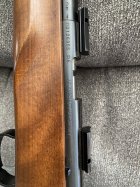 IMG_0134.jpeg