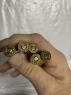 IMG_3965.jpeg