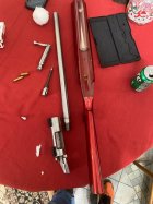 IMG_0762.jpeg