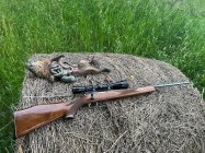 IMG_0705.jpeg