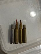 IMG_1868.jpeg