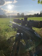 IMG_3443.jpeg