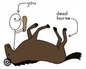 IMG_4522.jpeg