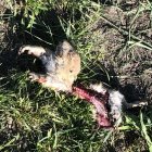 IMG_5977.jpeg