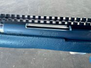 IMG_1657.jpeg