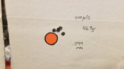 20250223_204136.jpg