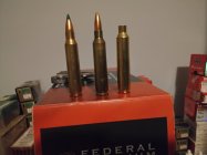 20250224_045008.jpg