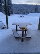 IMG_2371.jpeg