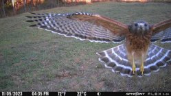 IMG_6415.jpeg