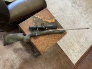 IMG_2625.jpeg