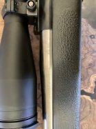 IMG_2630.jpeg