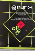Ballistic-X-Export-2023-05-14 12_48_17.838672.jpg