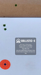 Ballistic-X-Export-2023-12-19 14_15_07.820124_2.png