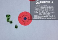 Ballistic-X-Export-2023-12-14 15_29_57.346018.jpg