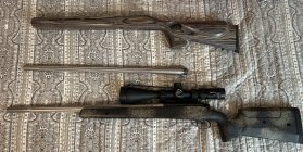 IMG_7495.jpeg