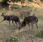 IMG_1431.jpeg