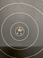 IMG_2293.jpeg