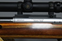 Remington_20250304_03.jpg