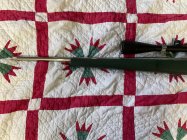 IMG_4197.jpeg
